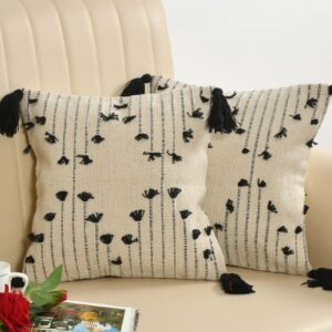 Tarisa Hand Crafted PitLoom Cushion Cover | 16 inch x 16 inch