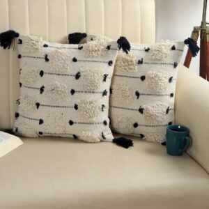 Tarisa Hand Crafted PitLoom Cushion Cover | 16 inch x 16 inch