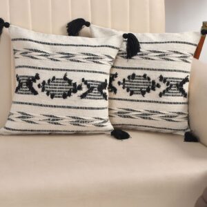Tarisa Hand Crafted PitLoom Cushion Cover | 16 inch x 16 inch