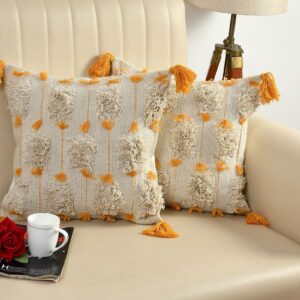 Tarisa Hand Crafted PitLoom Cushion Cover | 16 inch x 16 inch